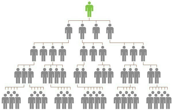 A Diagram of a Typical MLM Structure