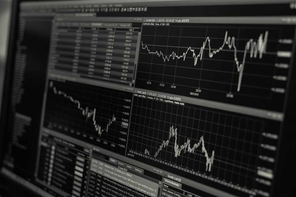 Analyse the Financial Potential of Your Niche